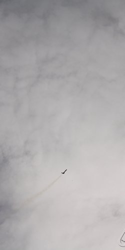 2013 Svojek Mirek Topinka